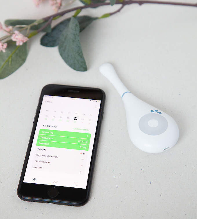 Daysy Zykluscomputer