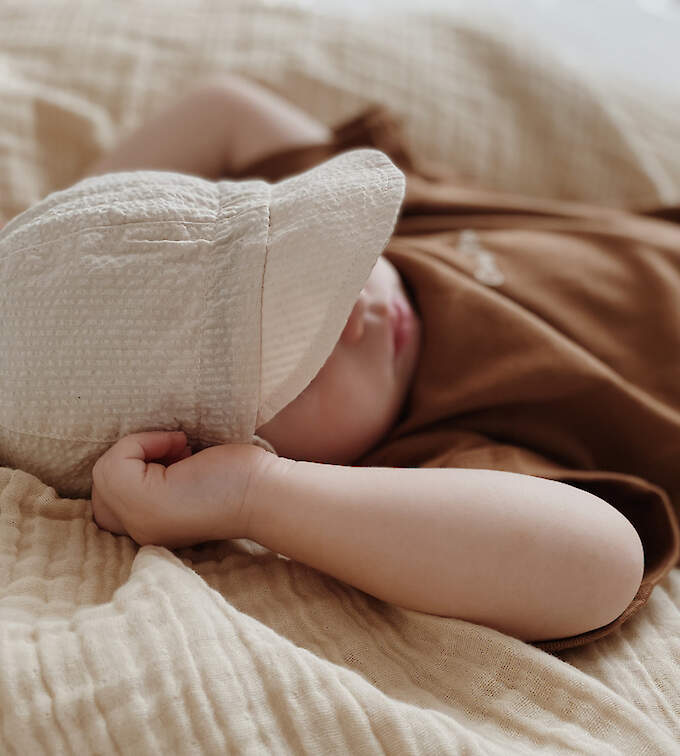 Cosy Roots Sonnenhut