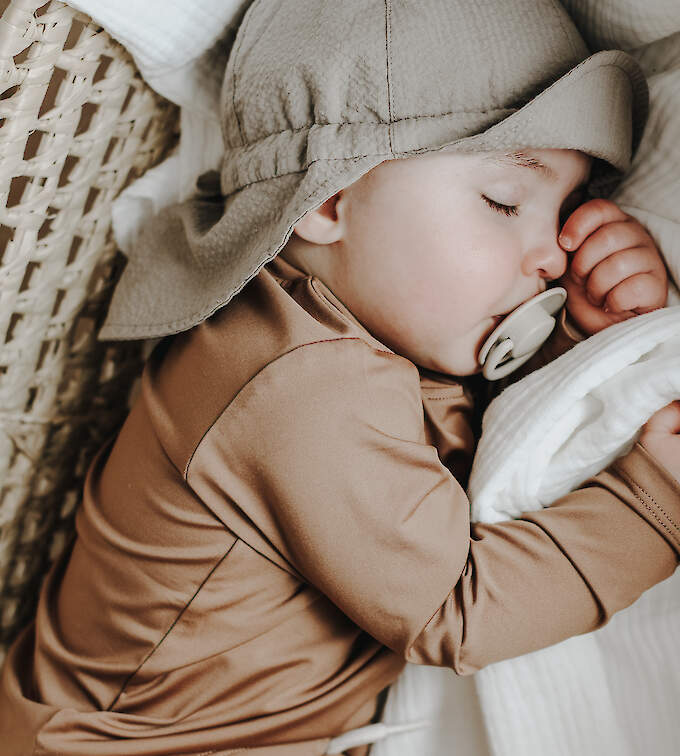 Cosy Roots Sonnenhut